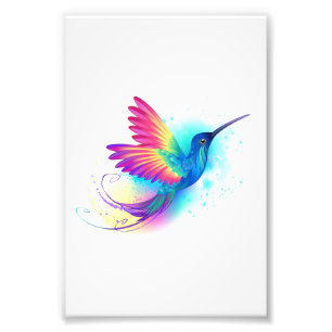 Foto Colibrí arcoiris exótica