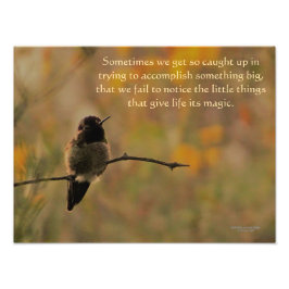 Foto Colibrí En Colores Verdes Amarillos Cálidos