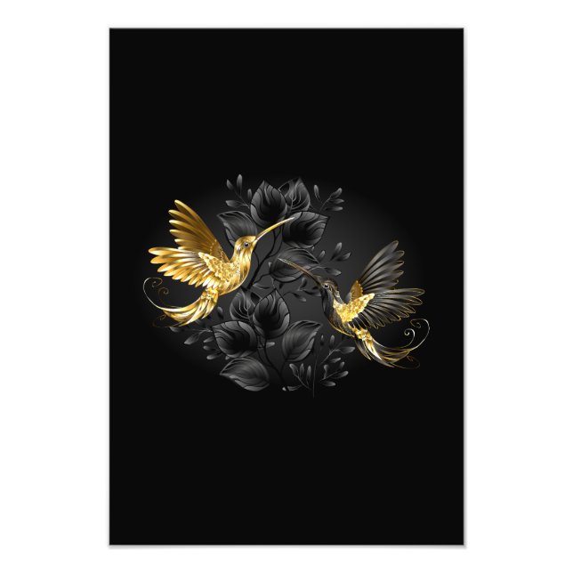 Foto Colibrí negro y dorado (Frente)