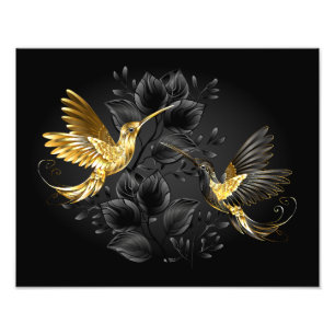 Foto Colibrí negro y dorado