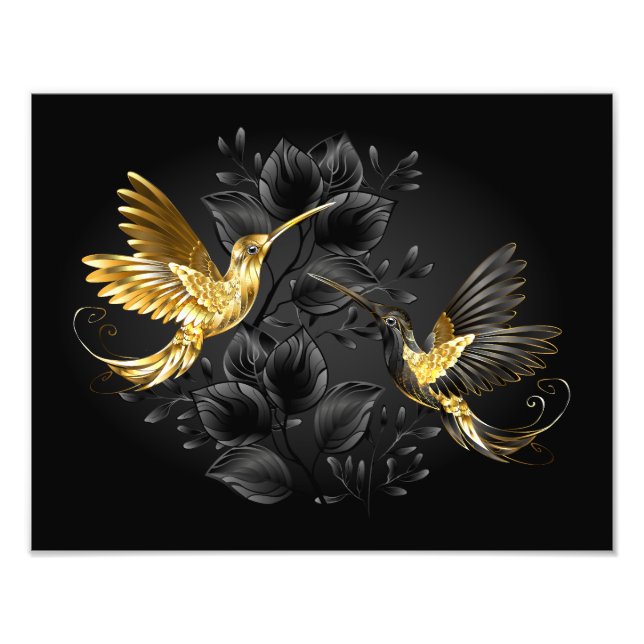 Foto Colibrí negro y dorado (Frente)