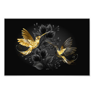 Foto Colibrí negro y dorado