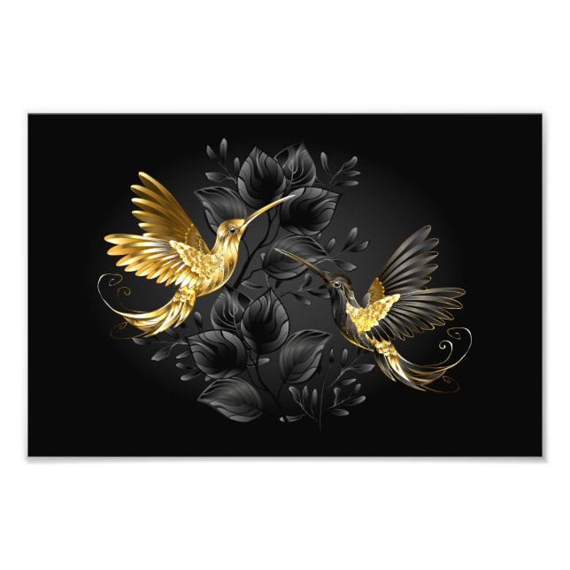 Foto Colibrí negro y dorado (Frente)