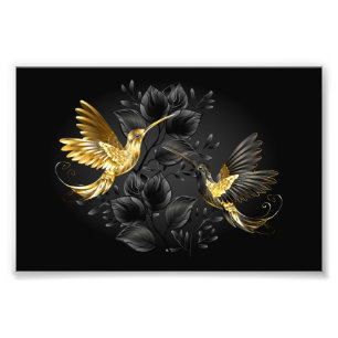 Foto Colibrí negro y dorado