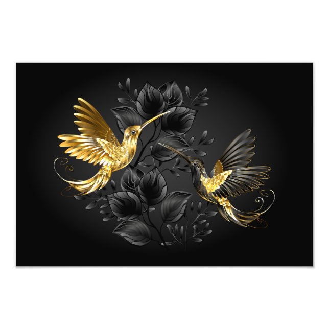 Foto Colibrí negro y dorado (Frente)