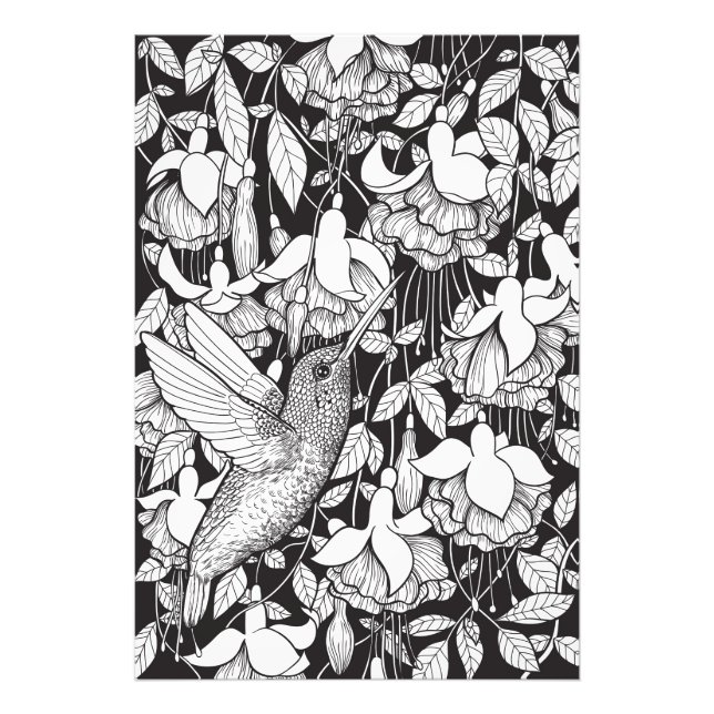 Foto Colibrí y fucsia (Frente)