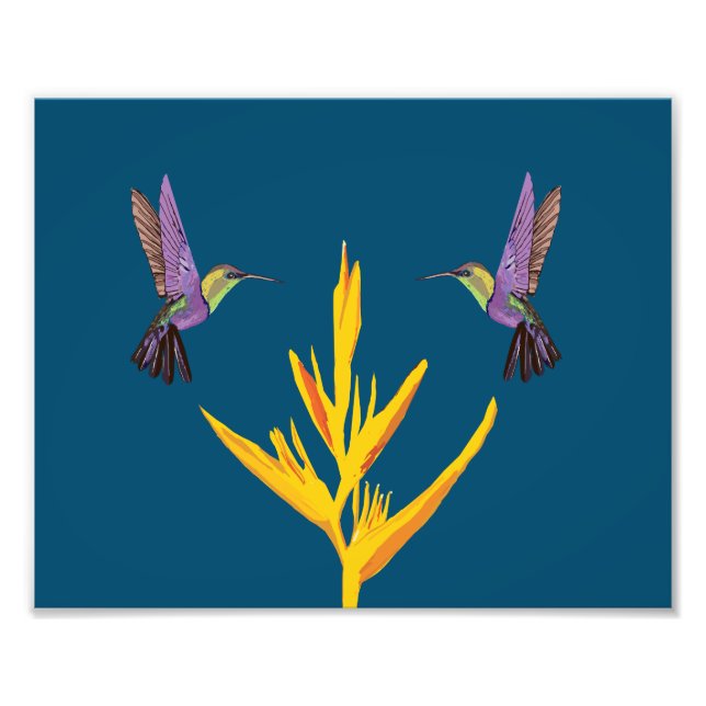 Foto Colibríes (Frente)