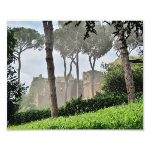 Foto Colina a través de los árboles, Roma de Palatine