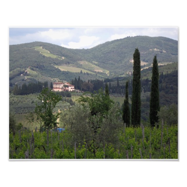 Foto Colinas de Chianti (Frente)