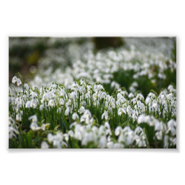 Foto Colirio de nieve