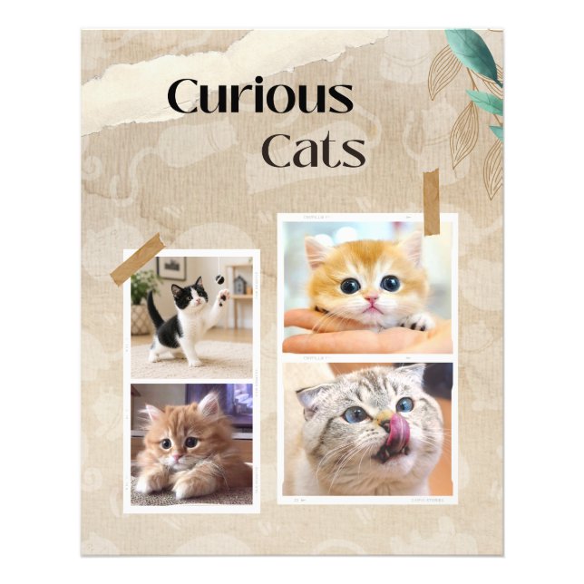 Foto Collage de Gatos Curiosos (Frente)