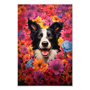 Foto Collie fronterizo en flores