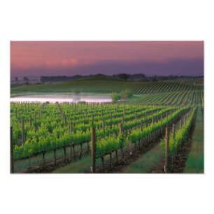 Foto Color de amanecer en la niebla lejana detrás