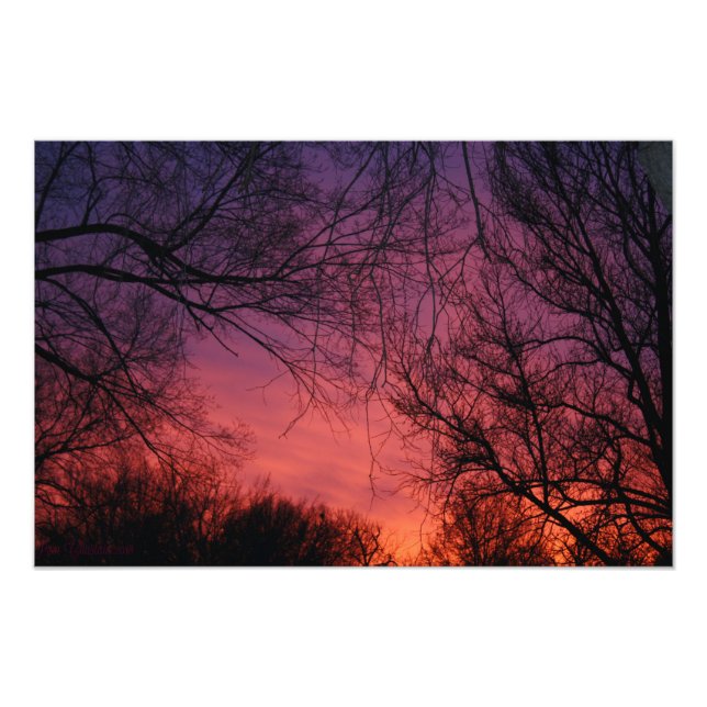 Foto "Colores" (Frente)