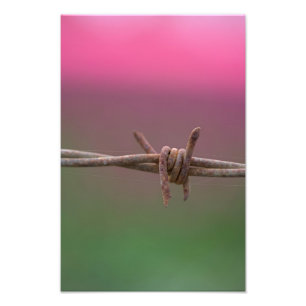 Foto Colores agudos