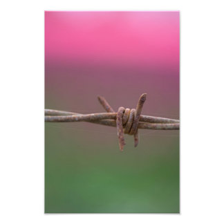 Foto Colores agudos.