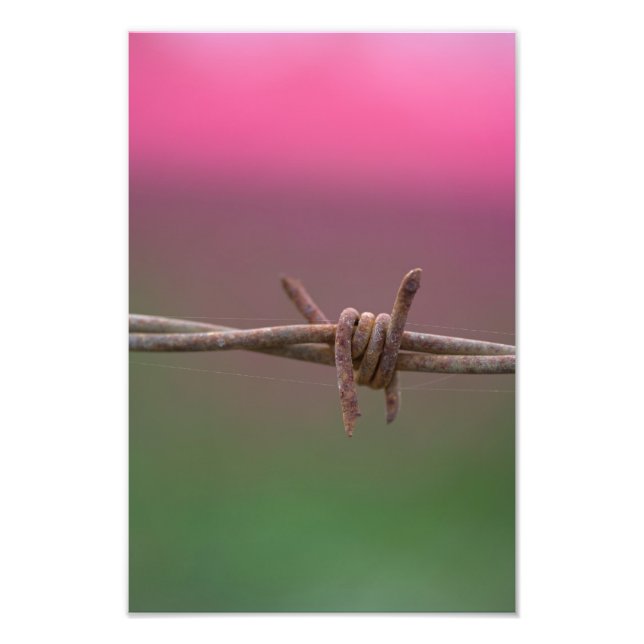 Foto Colores agudos. (Frente)