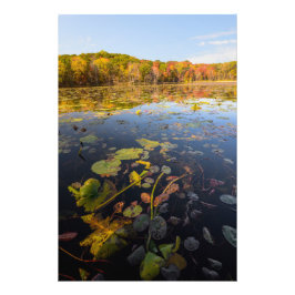 Foto Colores caídos en el lago