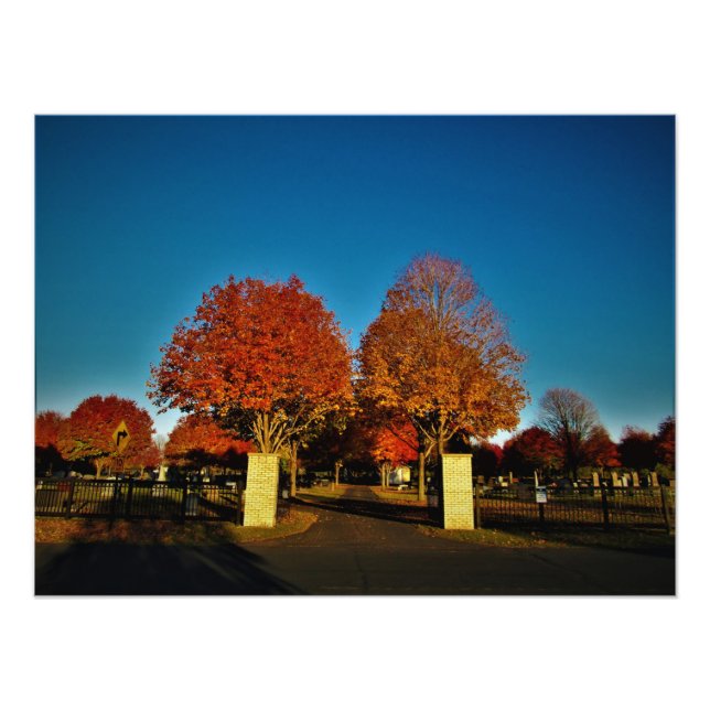 Foto "Colores corintios" (Frente)