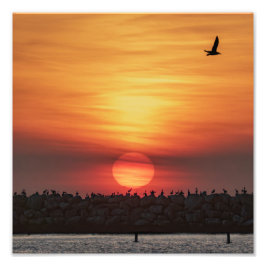 Foto Colores de puesta de sol hermosos - Marina Del Rey