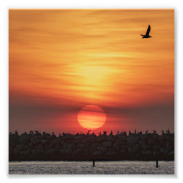 Foto Colores de puesta de sol hermosos - Marina Del Rey