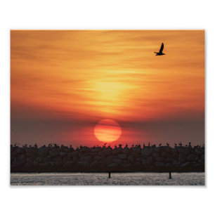 Foto Colores de puesta de sol hermosos - Marina Del Rey