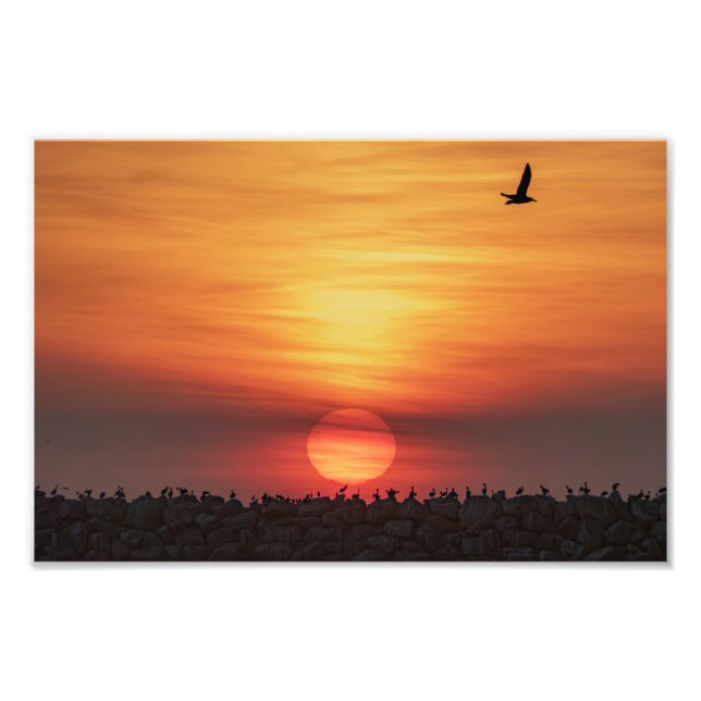 Foto Colores de puesta de sol hermosos - Marina Del Rey (Frente)
