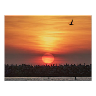 Foto Colores de puesta de sol hermosos - Marina Del Rey