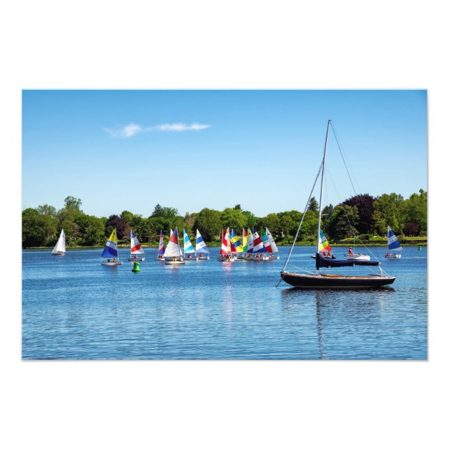 Foto Colores de verano (Frente)