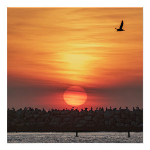Foto Colores Hermosos de Atardecer - Marina Del Rey, CA