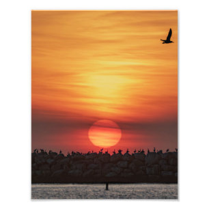Foto Colores Hermosos de Atardecer - Marina Del Rey, CA