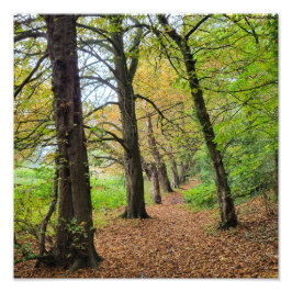 Foto Colores otoñales