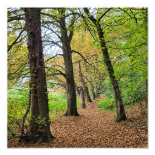 Foto Colores otoñales