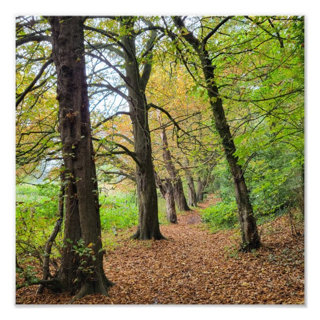 Foto Colores otoñales (Frente)