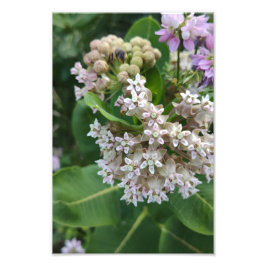 Foto Colores sorprendentes