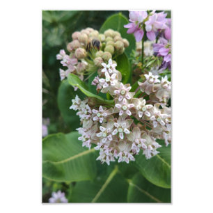 Foto Colores sorprendentes