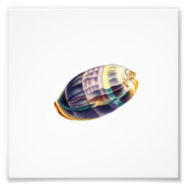 Foto Colorida playa de mar Náutica