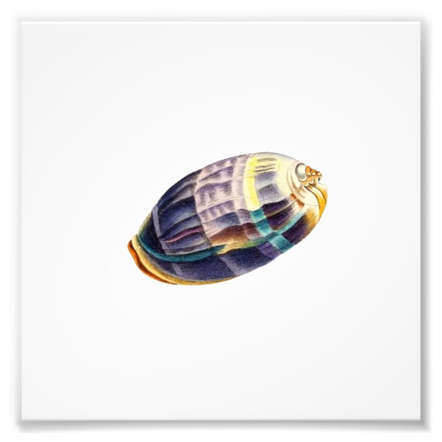 Foto Colorida playa de mar Náutica (Frente)