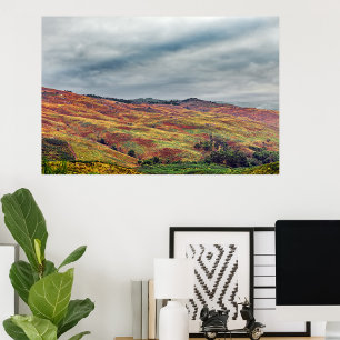 Foto coloridas colinas y paisajes montañosos