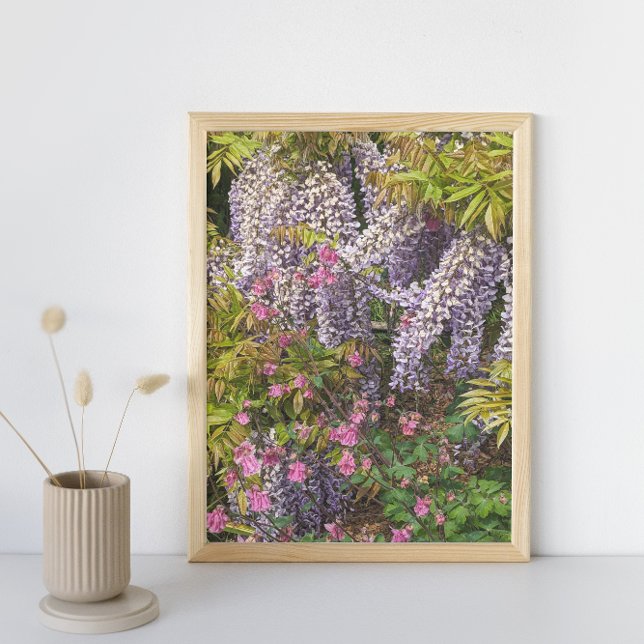 Foto Coloumbina rosa y glicinia púrpura floral (In Situ)