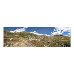 Foto Columbine Lake Mountain Goats - Colorado