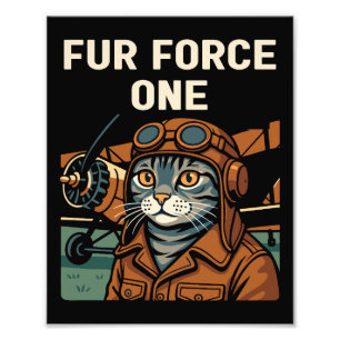 Foto Comandante de la línea aérea del gato del aviador