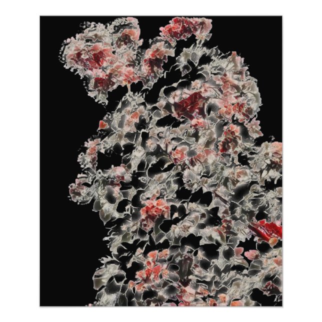 Foto Como Lace (Frente)