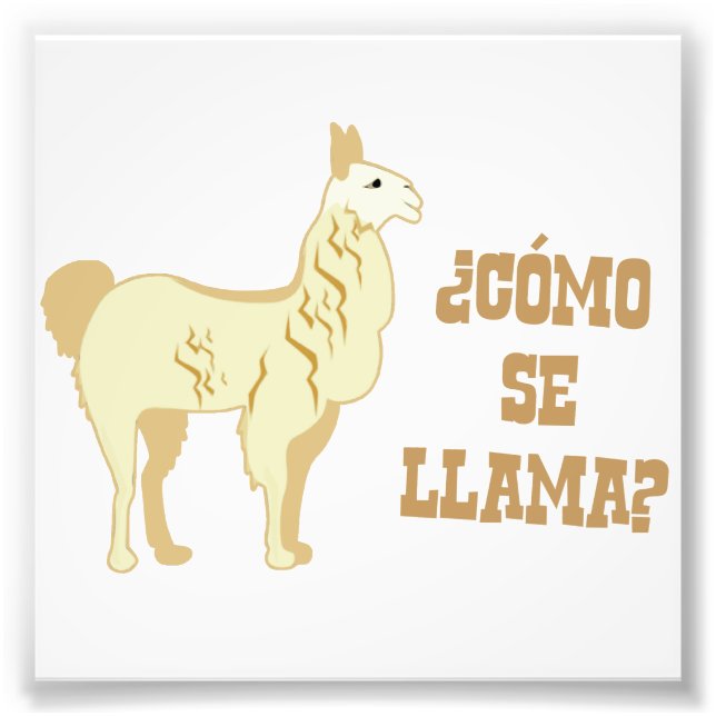 Foto ¿Como se llama? ¿Cómo se llama? (Frente)