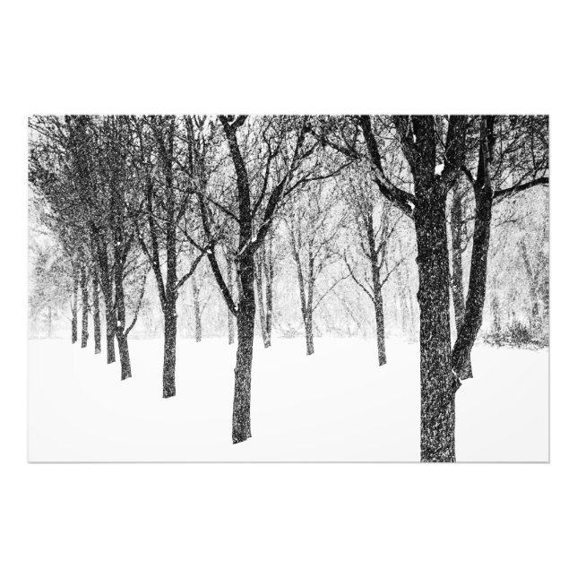 Foto como si estuviera del lado de los árboles (Frente)