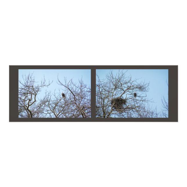 Foto Compañeros de vida (Frente)