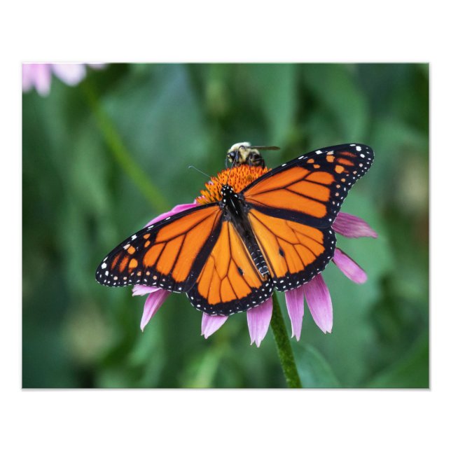 Foto Compartir Una Comida (Frente)