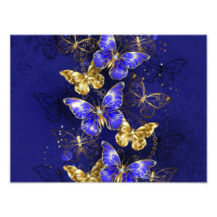 Foto Composición con mariposas de zafiro