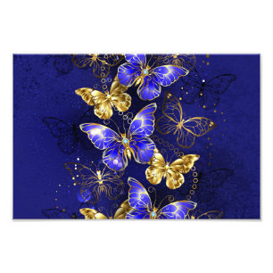 Foto Composición con mariposas de zafiro