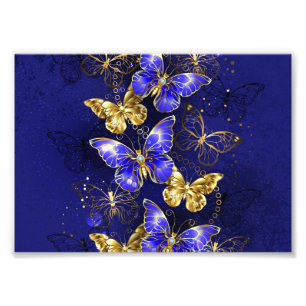 Foto Composición con mariposas de zafiro